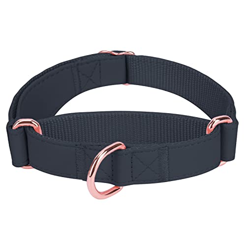 Collar de Perro Antitirones, Ajustable Collar Adiestramiento de Cuero Suave [Fácil de Limpiar] con Anillo de Oro Rosa & Duradero Nylon, Seguridad Antitracción para Cachorro Pequeño Mediano Grande