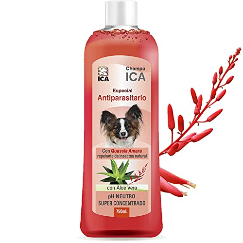 ICA CHPM20 Champú Antiparásitos con Aloe Vera para Perros