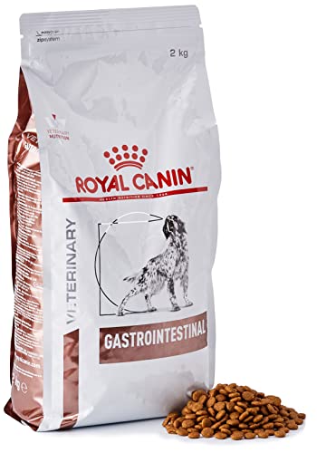 ROYAL CANIN Alimento para Perros Gastro Intestinal GI25-2 kg