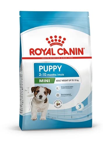 Royal Canin Mini junior croquetas por perros, 2 kg