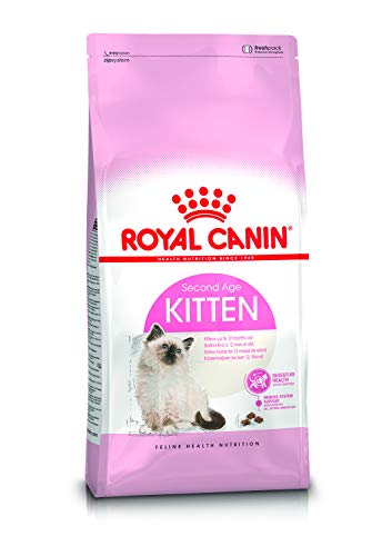 Royal Canin C-58432 Gato - 2 Kg