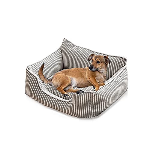 PETCUTE Cama Gato y Perros Pequeños,Camas para Perros,Ortopédica Cama para Perros de Espuma Viscoelástica con Funda extraíble,Sofá Cama para Mascotas Lavable y Antideslizante