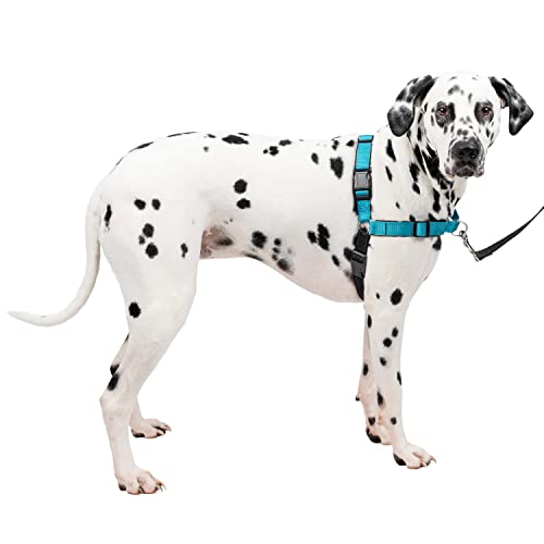 PetSafe Easy Walk Deluxe Arnés Antitirones para Perros, Adiestramiento de Perros, Evita Asfixia, Azul, Grande, L