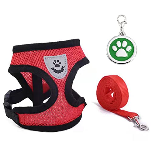 1 Correa de Perro Impermeable Ajustable para Mascotas, Correa de Perro con arnés de Pecho Transpirable, 1 Etiqueta de Perro Personalizada, Colgante Redondo Personalizable antipérdida para Mascotas