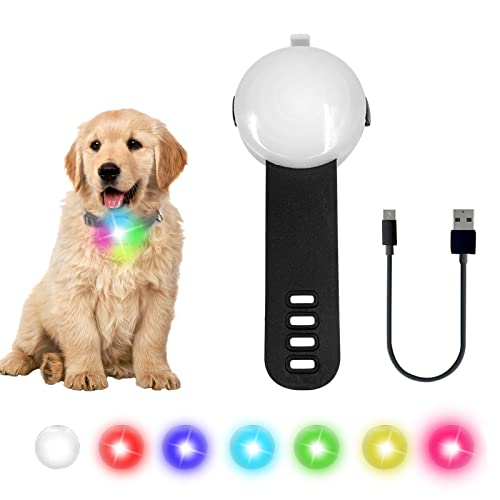 SENEMO Luz LED para collar de perro, recargable, resistente al agua, cambio de color ajustable en el collar, luz de seguridad para perros con correa para caminar de noche, correr, acampar, bicicleta