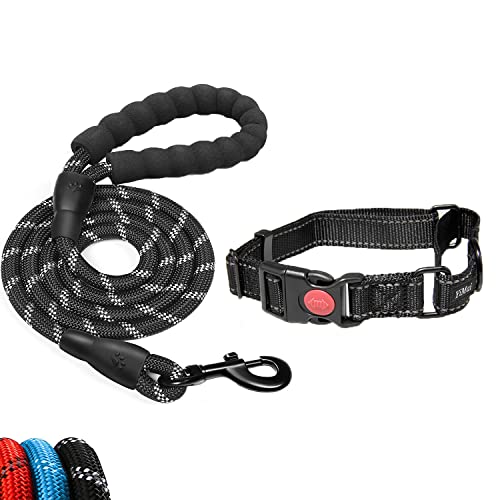 Correa de Perro con Collar, 1,5 m Correa de Fuerte de Perro con Mango Acolchado Suave y Hilos Reflectantes Equipado con Collar Perro Ajustablepara Perros Medianos y Pequeño (S, Negro)