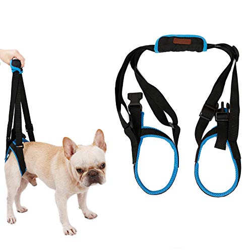 Tineer Dog Lift Arnés para piernas traseras Soporte para Mascotas Arnés Cabestrillo Trasero Ayuda Piernas débiles Levántate Soporte Arnés de Equilibrio para Artritis Rehabilitación Perros (S)