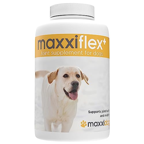 maxxipaws - maxxiflex+ Suplemento avanzado para Las articulaciones del Perro - Glucosamina, condroitina, MSM, ácido hialurónico, Garra del Diablo, bromelina, cúrcuma - 120 sabrosas tabletas