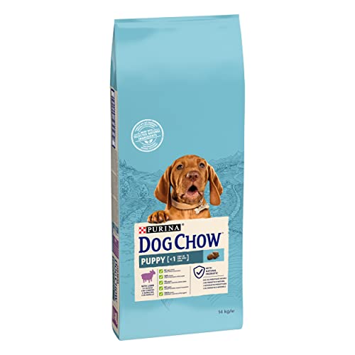 Purina Dog Chow Pienso para Perro Cachorro, Junior, Bebé con Cordero, saco de 14kg