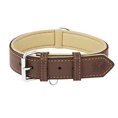 Riparo Collar de Perro Acolchado de Cuero Genuino Collar de Mascota Ajustable K-9 Fuerte (XXL: 5cm de Ancho para Cuello de 66cm - 78cm, Marrón)