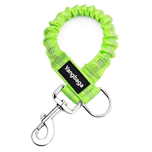 Yangbaga Correas para Mascotas Correas Elastic Stretch Nylon Leash Ideal para Caminar, Correr para Perros Pequeños a Cachorro (Verda)