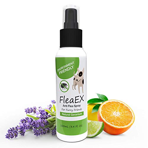 FleaEx Spray Antipulgas Perros y Gatos - Spray Pulgas Repelente para Perros - Anti Pulgas y Garrapatas Perros, Alternativa Eco a Insecticida Perros - Spray Antiparasitario Natural sin Tóxicos, 100ml