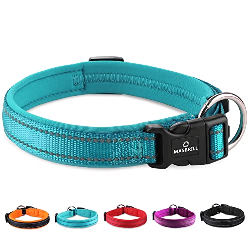 MASBRILL Collar de Perro Duradero y Reflectante, Ajustable Collar para Perros Grandes o Pequeños, Fabricado de Nylon con Suave Acolchado (Azul L)