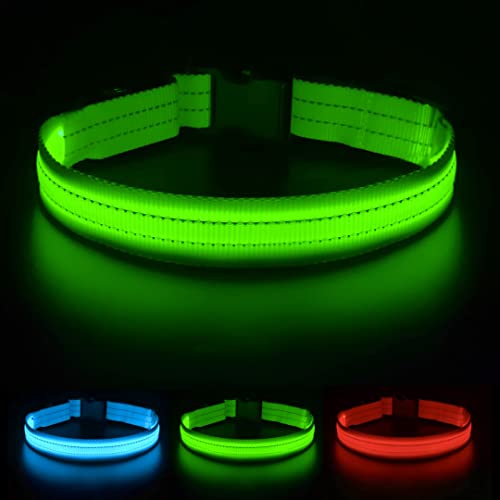 BIPETS - Collar Luminoso Perro con Batería Larga Duración e Impermeable, Collar LED para Perros Recargable USB/Tipo C. Collar Luz Perro con 3 Modos de Iluminación LED