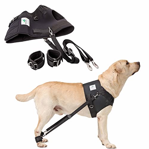 NATURE PET FlexiPander - Arnés Pectoral para adiestramiento y rehabilitación - para Perros con Problemas en la Cadera y Las Patas traseras - Negro - XL