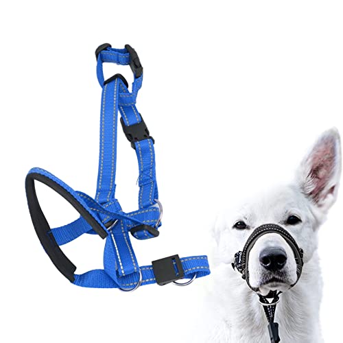 CHICIRIS Collar de Cabeza de Perro, Transpirable, sin Tirar, Correa de Perro, Bozal de Boca de Perro, Arnés de Cabeza de Perro con Correa Ajustable para Perros Pequeños, Medianos y Grandes (Azul)