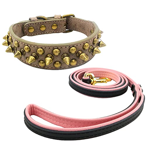 Newtensina Retro Bronce Tachonado Perro Collar y Correa Perrito Collar con Remaches para Pequeño Perros