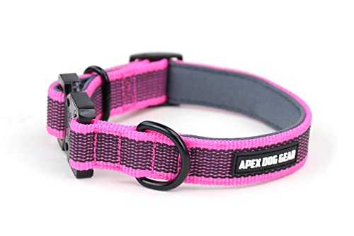 APEX DOG GEAR Collar Perro, Collar para Perro con Cierre metálico, Acolchado, Resistente y Ajustable - 2 Tallas Elegir - Talla M (30-40 cm / 2,5 cm de Ancho) - Color Rosa