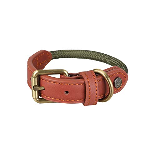 Michur Sherpa Hornet Verde, Refuerzo de Cuero con Collar para Perro y Cuerda, Redondo con núcleo de Poliamida y Nylon Trenzado, en Diferentes tamaños Disponibles