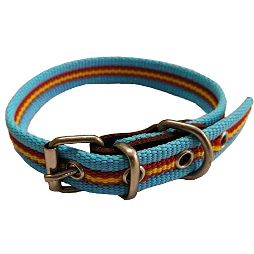 Collar de Perro Bandera de España de algodón Azul 30 cms | Collar Liso para Perro | Collar de algodón. Resistente a tirones y climatología. Collar Azul Claro Rojo y Amarillo.