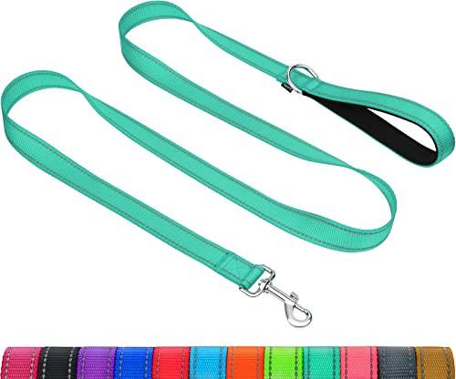 Taglory Correa Perro Reflectante, Mango Acolchado Suave y Gancho de Metal, Correas Adiestramiento para Perros Pequeño, 1.2m x 2.0cm, Turquesa