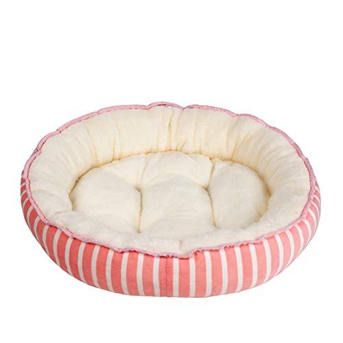 beautyhe Camas para Perros Morder Antideslizante Circular Caseta Perro Ligero Suave Cototel Canal Casa para Gatos para Perros Gato PequeñOs Y Medianos Grandes Pink,Large