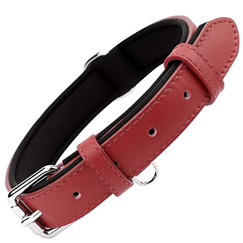 Grand Line Collar de Perro de Cuero, Collare Ancho y Grueso con Suave Acolchado，Collare de Perro en Piel Ajustables Resistentes para Perros Pequeños, Medianos, Grandes (Roja, M)