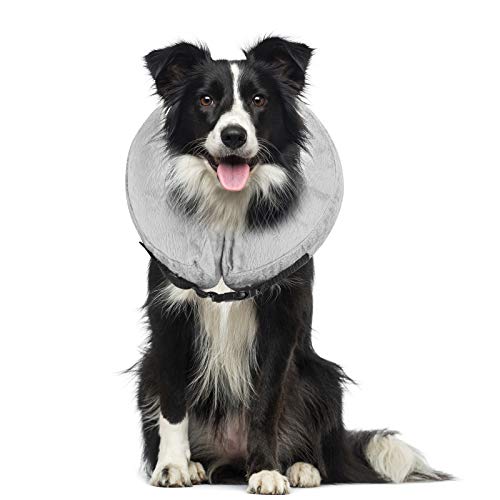 Cuello protector hinchable para perros y gatos. De tacto suave y con hebilla ajustable. Ideal para la recuperación tras una cirugía, o para curar heridas. No bloquea la visión