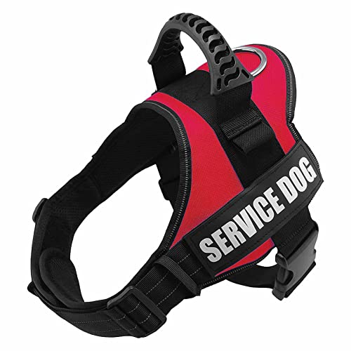 Arnés Personalizado para Perros, Reflectante Ajustable, Arnés Antitirones Suave Acolchado Cómodo Transpirable Arnés Chaleco para Perros Pequeños, Medianos y Grandes (XS, Rojo)