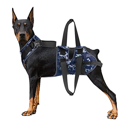 Arnés para Perros, Soporte para Patas traseras, cómodo arnés de Apoyo para Patas traseras, Elevador de Perros para Perros Grandes y Ancianos, Perros discapacitados, Color Azul, Talla L