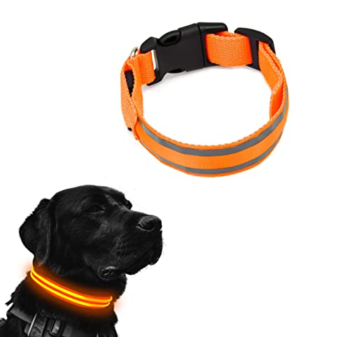 Collar Led Perro, FainFun Collar Luz Led Perro, Luz Led para Collar de Perro, Luminoso Collar Perro Luces para la Noche, Puede Utilizarse con una Correa para Evitar su Pérdida