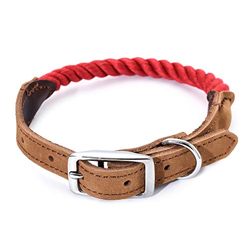 Mile High Life Collar de Cuero Genuino de Cuerda de algodón de Primera Calidad Perro (M, Rojo)