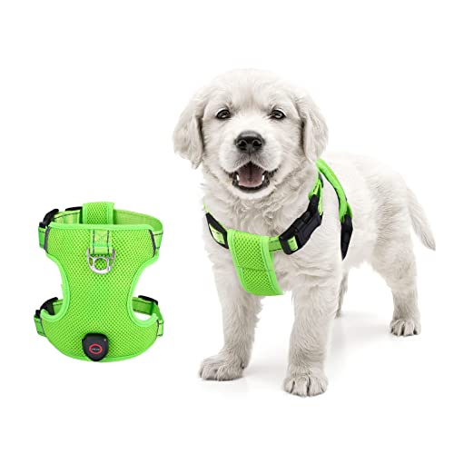 ORIA Arnés Luminoso para Perros, LED Recargable en Pecho de Mascota, Chaleco Reflectante Iluminado para Perros, 3 Modos de Luz, Traje Sin Tirón para Caminatas al Aire Libre (Pequeño)