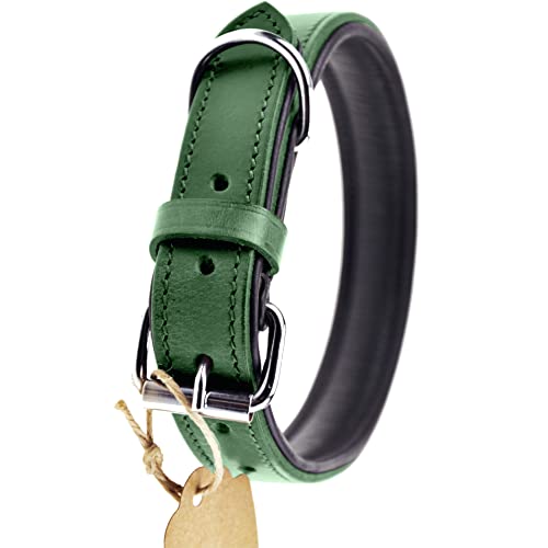 Schnüffelfreunde Collar de Perro de Cuero (XXL - 55-65cm, Verde)