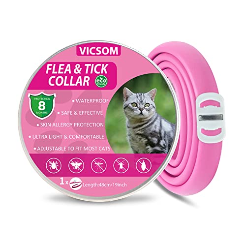 Collar Antipulgas Gatos, Collar Antipulgas y Garrapatas para Gatos, Collar Antiparasitario Gatos Regulable Impermeable, 8 Meses de Natural Protección para Todos los Tamaños de Gatos Gris