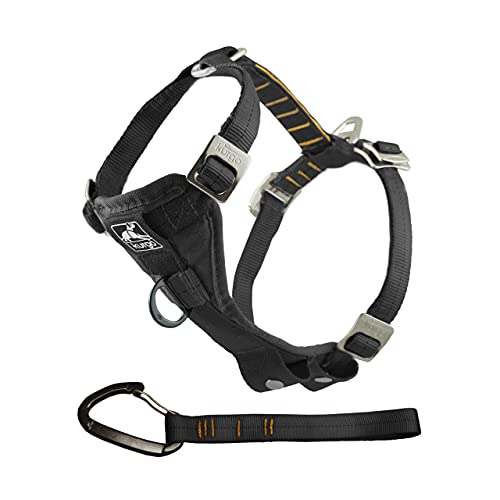 Kurgo Tru-Fit Arnés para Perro, Arnés de Paseo para Perros, Anillo en D para Entrenamiento sin Tirones, Incluye Mosquetón de Seguridad, Negro, M