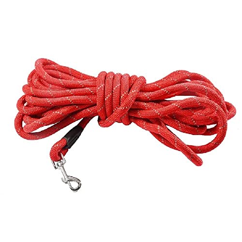 Bobby Canifrance, Walk 10 M, Correa para Perros 10 Metros/Grosor 1,2 cm, Correa Tubular para Perros, Nylon Resistente, Rojo