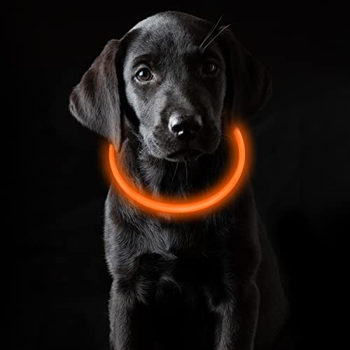 Coolzon Collar Luminoso Perro Recargable, Collar Perro Luz Impermeable con 3 Modos de Luz, Longitud Ajustable Collares LED para Perros Gatos Pequeño Mediano Grande, Naranja