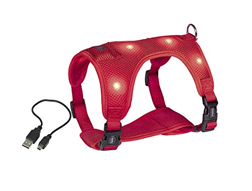 Nobby Nobbys - Arnés de Seguridad con luz LED (pequeño), Color Rojo