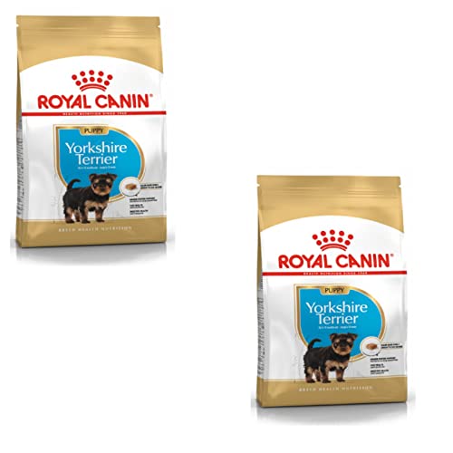 Royal Canin Yorkshire Terrier Cachorro | Envase Doble | 2 x 500 g | Alimento seco para Cachorros Yorkshire Terrier | para reforzar el Sistema inmunitario | para un Pelo Bonito y una Buena dentadura