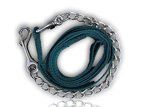 Bosco Correa para perros con cadena de metal, para entrenamiento de perros longitud 2,10 m (verde oscuro)