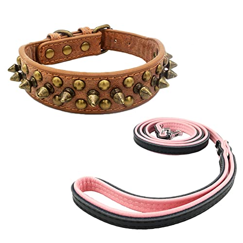 Newtensina Retro Bronce Tachonado Perro Collar y Correa Perrito Collar con Remaches para Pequeño Perros