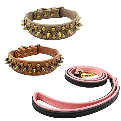 Newtensina 3 Piezas Retro Bronce Tachonado Perro Collar y Correa Perrito Collar con Remaches para Pequeño Perros