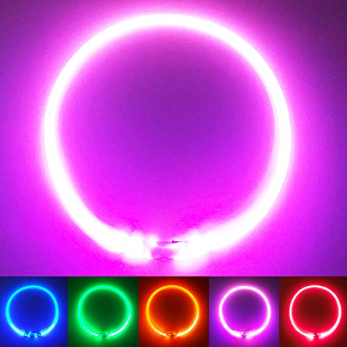 PetSol LED Collar Perro Collar de Seguridad LED Recargable Ultra Luminoso para su Mascota batería de Litio Recargable Mayor Visibilidad y Seguridad Talla única para Todos los Perros y Gatos (Rosado)