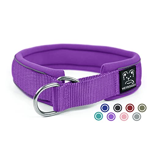 Collar de Perro Antitirones, Robusto Nylon Collar de Adiestramiento con Acolchado Suave & Tira Reflectante, Martingale Collar Estrangulador Seguridad Antitracción para Cachorro Pequeño Mediano Grande