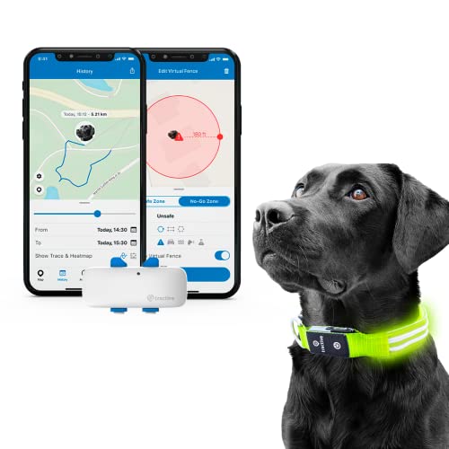 Tractive - GPS para perros + collar LED, Localización en tiempo real con distancia ilimitada (verde, M)