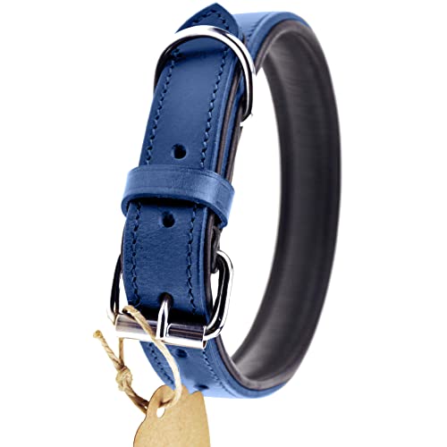 Schnüffelfreunde Collar de Perro de Cuero (S - 24-30cm, Azul)