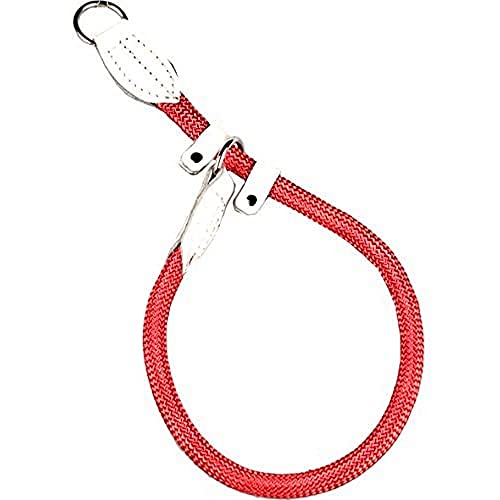 Arppe 11060 Collar Educativo Nylon Redondo con Protección, M, Rojo y Blanco