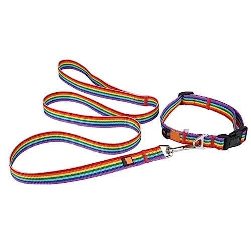 Juego de collar y correa para mascotas, cuerda trenzada arcoíris para perro, correa colorida para perros pequeños, medianos y grandes, productos para mascotas