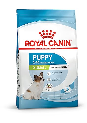 Royal Canin C-083241 S.N. X Small Junior - 3 Kg, sabor variado, 2kg